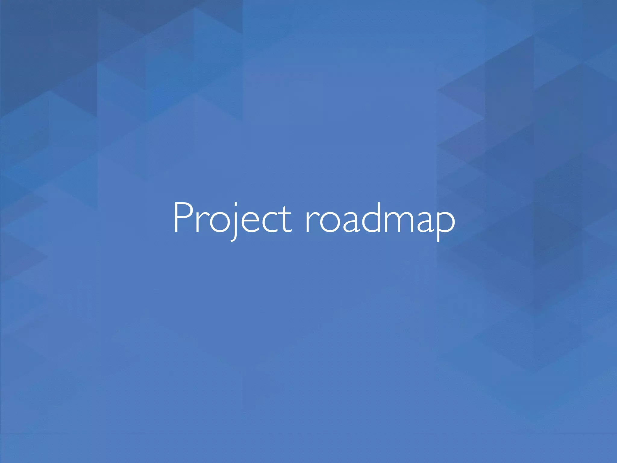 Project roadmap 