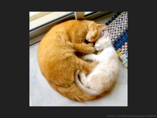 (cc) http://www.flickr.com/photos/gloson/4594527045
 