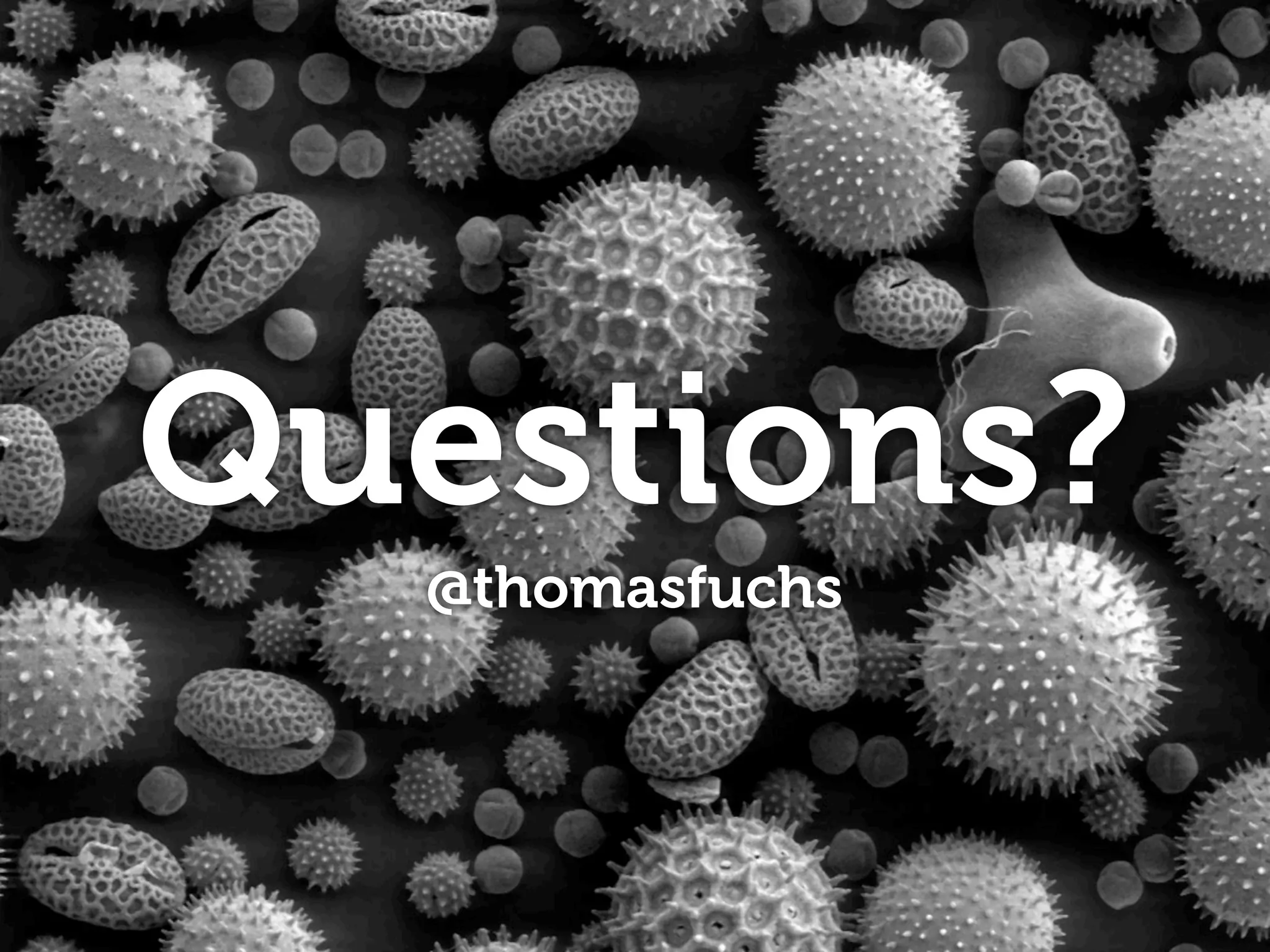Questions?
  @thomasfuchs
 