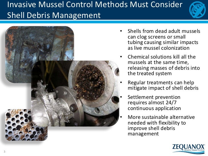 Managing Zebra Mussel Shell Debris with a New Chemical Alternative
