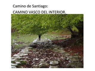 Camino de Santiago:
CAMINO VASCO DEL INTERIOR.
 