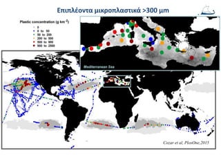 Cozar et al, PlosOne,2015
Επιπλέοντα μικροπλαστικά >300 μm
 