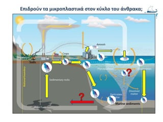 Επιδρούν τα μικροπλαστικά στον κύκλο του άνθρακα;
 