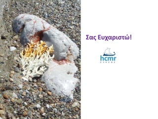 Σας Ευχαριστώ!
 