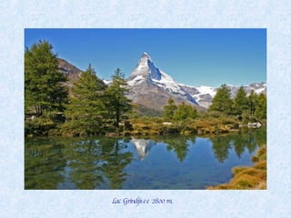 Lac Grindjisee 2800 m. 