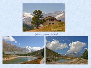 Grünsee 2300 m. (Lac Vert) Cabane du Grünsee 