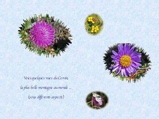 Voici quelques vues du Cervin, la plus belle montagne au monde ... (sous différents aspects) 