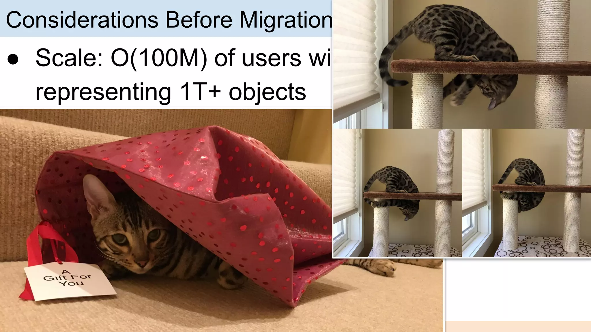 Considerations Before Migration
● Scale: O(100M) of users with 1B+ backups,
representing 1T+ objects
● No sharing, no search, no folders
● Mainly write traffic, read traffic is rare and high
priority
● Spanner: global strong consistency, SQL
● Backups can get large
 