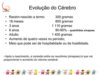 Existem janelas de oportunidades: períodos preciosos que demandam ambiente propício. 12 semanasQuinta Semana