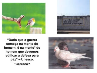 “Dado que a guerra começa na mente do homem, é na mente* do homem que devemos edificar a defesa para paz” – Unesco.*Cérebro?