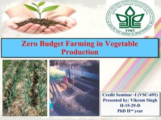 Zero Budget Farming in Vegetable
Production
Zero Budget Farming in Vegetable
Production
Credit Seminar -I (VSC-691)
Presented by: Vikram Singh
H-15-29-D
PhD IInd
year
Credit Seminar -I (VSC-691)
Presented by: Vikram Singh
H-15-29-D
PhD IInd
year
 
