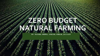 ZERO BUDGET
NATURAL FARMING
BY- MANSHI, SHIPRA, ANKUSH, OMKAR, JAI LALIT
 