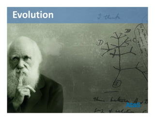 Evolution
 