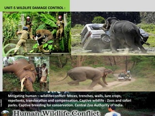 UNIT-5 WILDLIFE DAMAGE CONTROL :
Mitigating human – wildlife conflict: fences, trenches, walls, lure crops,
repellents, translocation and compensation. Captive wildlife : Zoos and safari
parks. Captive breeding for conservation. Central Zoo Authority of India.
 