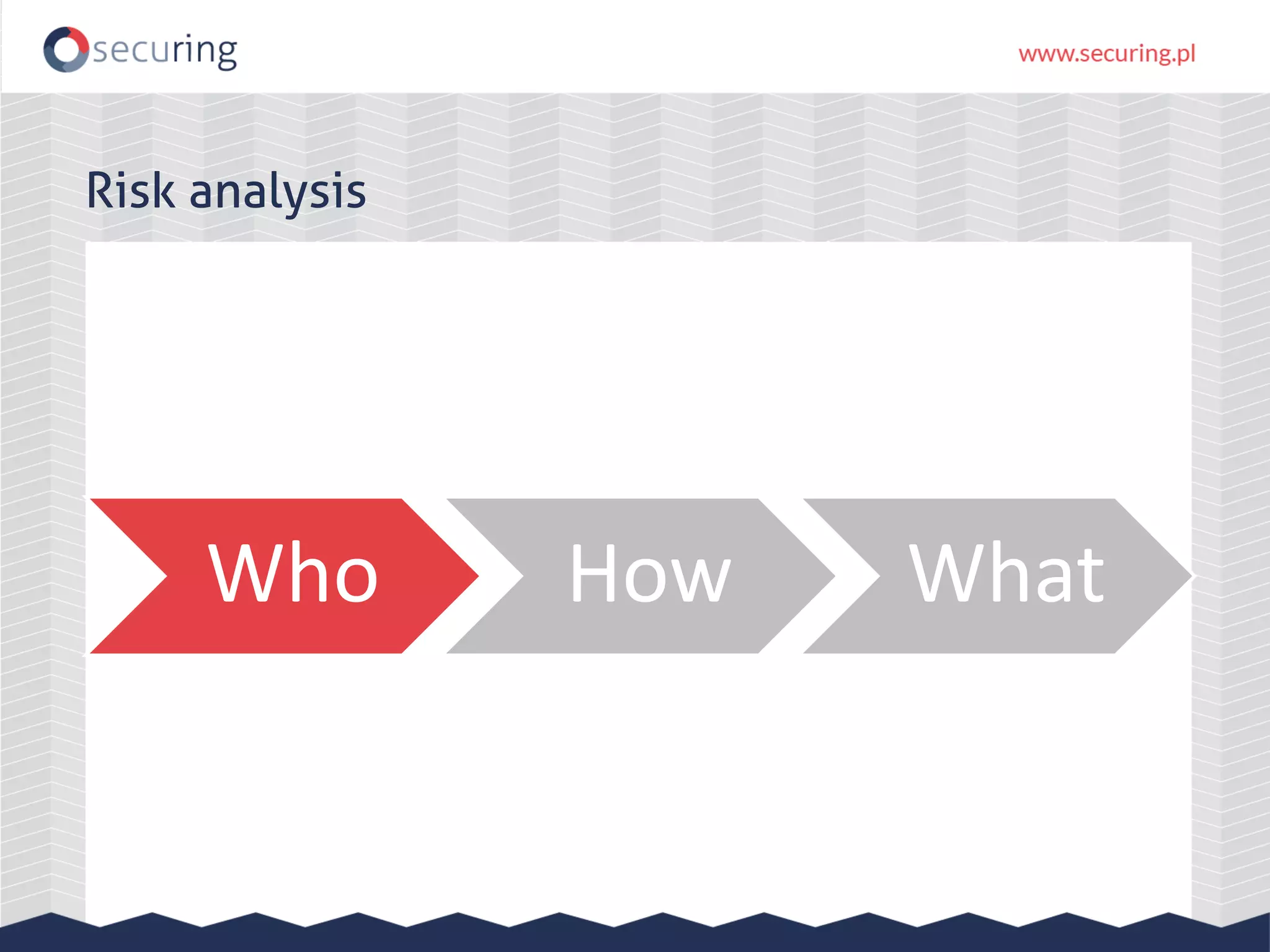 Who How What Risk analysis 