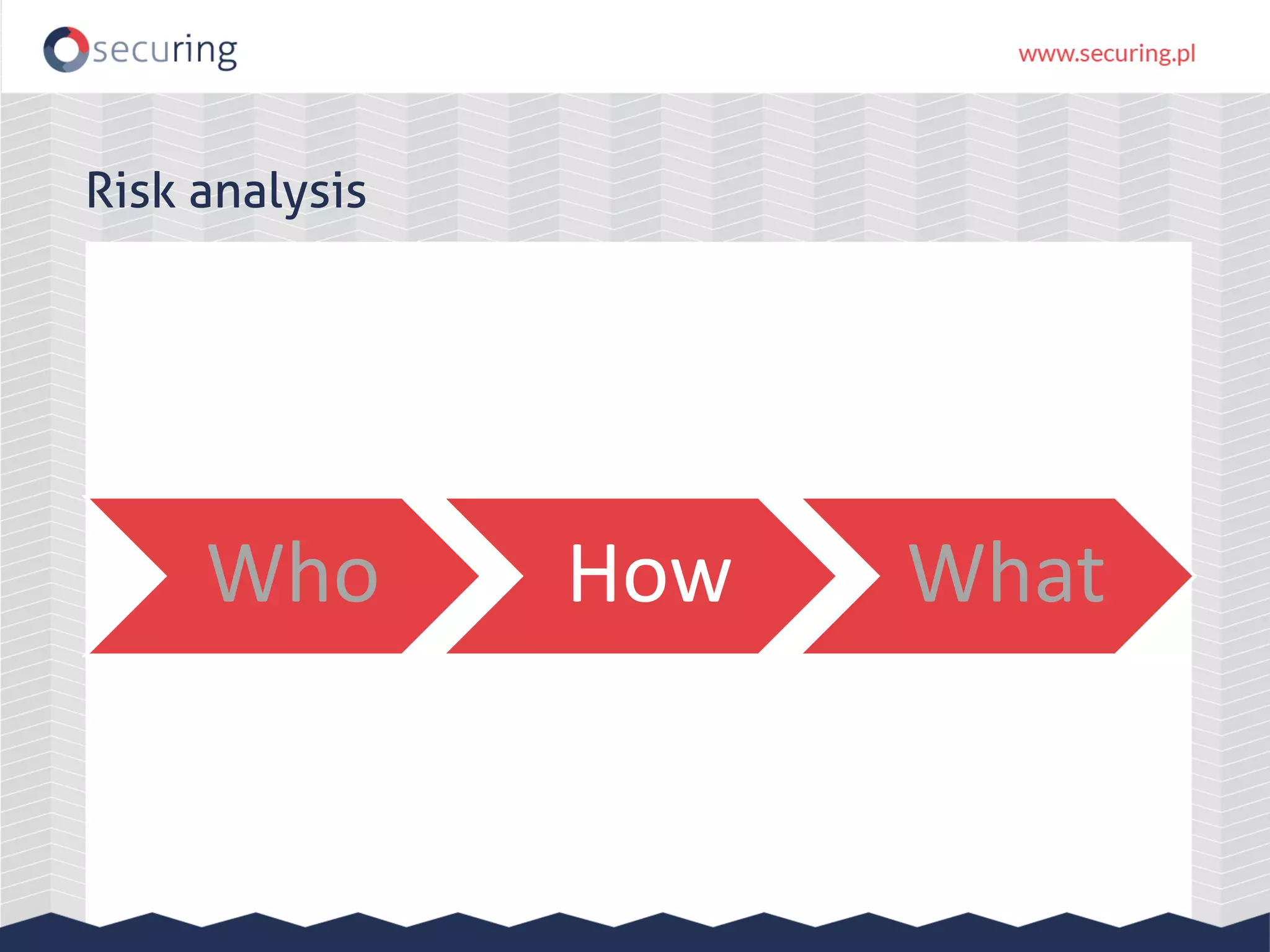 Who How What Risk analysis 