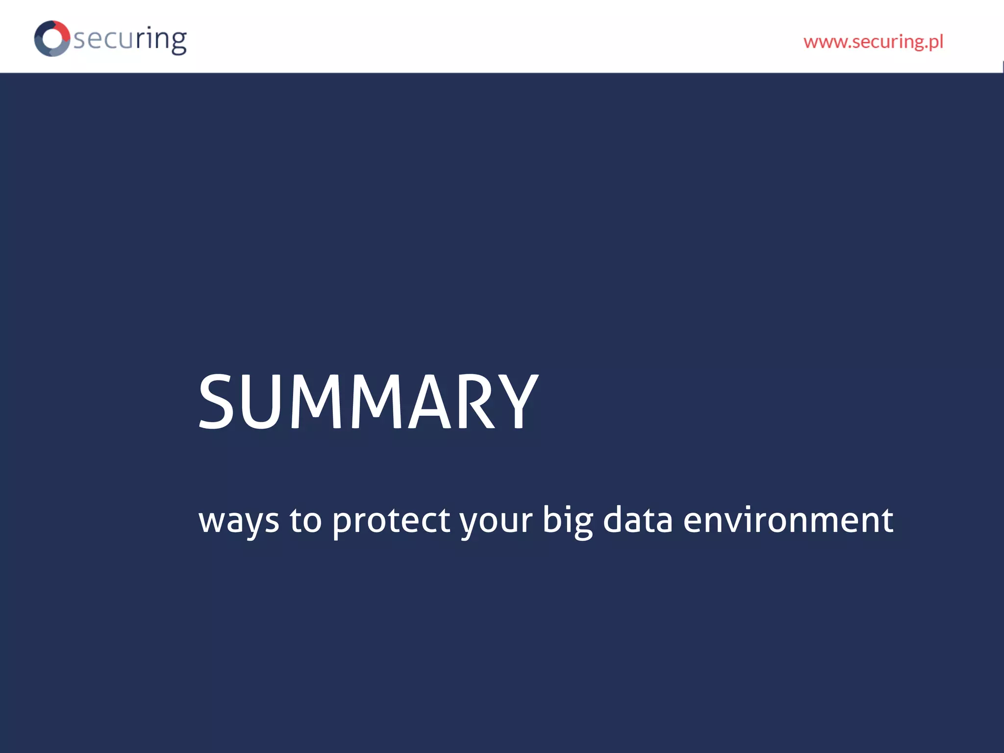 SUMMARY ways to protect your big data environment 