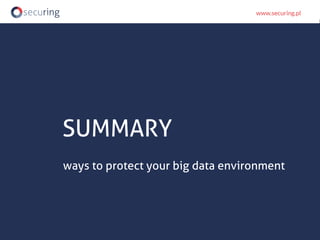 SUMMARY
ways to protect your big data environment
 