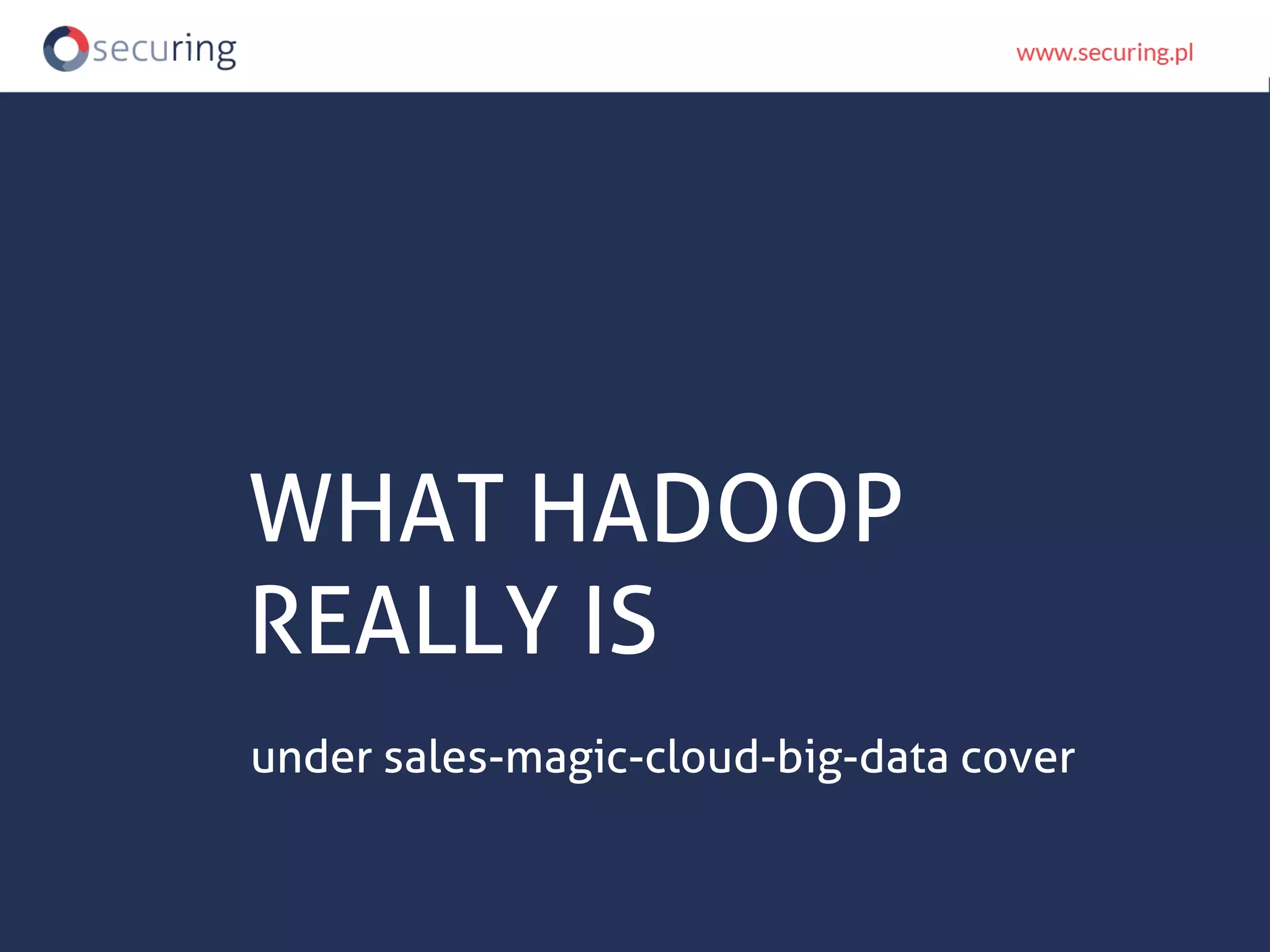 WHAT HADOOP
REALLY IS
under sales-magic-cloud-big-data cover
 