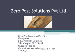 Zero Pest Solutions Pvt Ltd
Zero Pest Solutions Pvt. Ltd.
(Gurgaon)
208, Vashisth Complex,
Sikanderpur, M.G. Road,
Gurgaon 122001
Contact No: +91-9810353723, 0124-
4100657
 