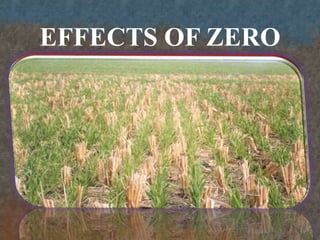 EFFECTS OF ZERO
    TILLAGE
 