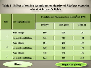 Table 5: Effect of sowing techniques on density of Phalaris minor in
                      wheat at farmer’s fields

                               Population of Phalaris minor (no./m2) 35 DAS

 Site   Sowing technique
                               1998-99          1999-2000          2000-01


        Zero tillage            590                208                   70
   1
        Conventional tillage    935                315               124

        Zero tillage            684                285               135
   2    Conventional tillage    920                408               170

        Zero tillage            418                345               136
   3    Conventional tillage    632                560               210

        Hissar                                     Singh et al. (2002)
 