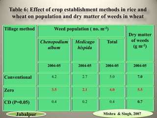 Table 6: Effect of crop establishment methods in rice and
   wheat on population and dry matter of weeds in wheat

Tillage method         Weed population ( no. m-2)
                                                           Dry matter
                  Chenopodium    Medicago       Total       of weeds
                     album        hispida                    (g m-2)



                    2004-05       2004-05      2004-05       2004-05


Conventional          4.2           2.7             5.0         7.0


Zero                  3.5           2.1             4.0         5.5


CD (P=0.05)           0.4           0.2             0.4         0.7


       Jabalpur                               Mishra & Singh, 2007
 