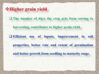 Higher grain yield
  The number of days the crop gets from sowing to

   harvesting, contributes to higher grain yield.

  Efficient use of inputs, improvement in soil

   properties, better rate and extent of germination

   and better growth from seedling to maturity stage.
 