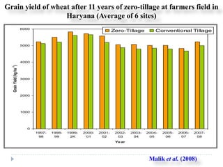 Grain yield of wheat after 11 years of zero-tillage at farmers field in
                   Haryana (Average of 6 sites)
                           6000
                                                                          Zero-Tillage         Conventional Tillage


                           5000




                           4000
  Grain Yield (kg ha -1)




                           3000




                           2000




                           1000




                             0
                                  1997-   1998-   1999-   2000-   2001-    2002-   2003-   2004-   2005-   2006-   2007-
                                   98      99      2K      01      02       03      04      05      06      07      08
                                                                           Ye ar




                                                                                            Malik et al. (2008)
 
