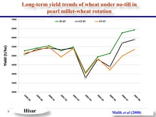 Long-term yield trends of wheat under no-till in
                               pearl millet-wheat rotation
               7000
                                     ZT-ZT    CT-ZT   CT-CT


               6500



               6000



               5500
Yield (t/ha)




               5000



               4500



               4000



               3500



               3000




                      Hisar                                   Malik et al (2008)
 
