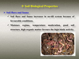  Soil Biological Properties

 Soil flora and fauna
    Soil flora and fauna increases in no-till system because of
      favourable conditions.
    Moisture     regime,   temperature    moderation,     good   soil
      structure, high organic matter favours the high biotic activity.
 