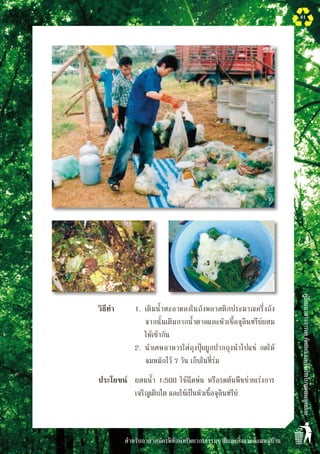 สำหรับอาสาสมัครพิทักษ์ทรัพยากรธรรมชาติและสิ่งแวดล้อมหมู่บ้าน
คู่มือแนวทางการลดคัดแยกและใช้ประโยชน์ขยะมูลฝอย
41
	 	 	 วิธีทำ	 1.	 เติมน้ำสะอาดลงในถังพลาสติกประมาณครึ่งถัง 

	 จากนั้นเติมกากน้ำตาลและหัวเชื้อจุลินทรีย์ผสม

	 ให้เข้ากัน
				 2.	 นำเศษอาหารใส่ถุงปุ๋ยผูกปากถุงนำไปแช่ กดให้

	 จมหมักไว้ 7 วัน เก็บในที่ร่ม
	 	 	 ประโยชน์	 ผสมน้ำ 1:500 ใช้ฉีดพ่น หรือรดต้นพืชช่วยเร่งการ
เจริญเติบโต และใช้เป็นหัวเชื้อจุลินทรีย์
 