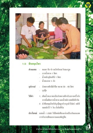 สำหรับอาสาสมัครพิทักษ์ทรัพยากรธรรมชาติและสิ่งแวดล้อมหมู่บ้าน
คู่มือแนวทางการลดคัดแยกและใช้ประโยชน์ขยะมูลฝอย
45
	 	 1.5	 พืชสมุนไพร
	 	 	 ส่วนผสม	 -	 สะเดา ขิง ข่า ตะไคร้หอม ใบมะกรูด
				 -	 กากน้ำตาล 1 ลิตร
				 -	 น้ำหมักจุลินทรีย์ 1 ลิตร
				 -	 น้ำสะอาด ½ ถัง
			 อุปกรณ์	 -	 ถังพลาสติกมีฝาปิด ขนาด 20 - 40 ลิตร
				 -	 ถุงปุ๋ย
	 	 	 วิธีทำ	 1.	 เติมน้ำสะอาดลงในถังพลาสติกประมาณครึ่งถัง 

	 จากนั้นเติมกากน้ำตาล และน้ำหมัก ผสมให้เข้ากัน
				 2.	 นำพืชสมุนไพรใส่ถุงปุ๋ยผูกปากถุงนำไปแช่ กดให้

	 จมหมักไว้ 7 วัน เก็บในที่ร่ม
	 	 	 ประโยชน์	 ผสมน้ำ 1:500 ใช้ฉีดพ่นพืชจะช่วยป้องกันและลด
การทำลายพืชผลจากแมลงศัตรูพืช
 