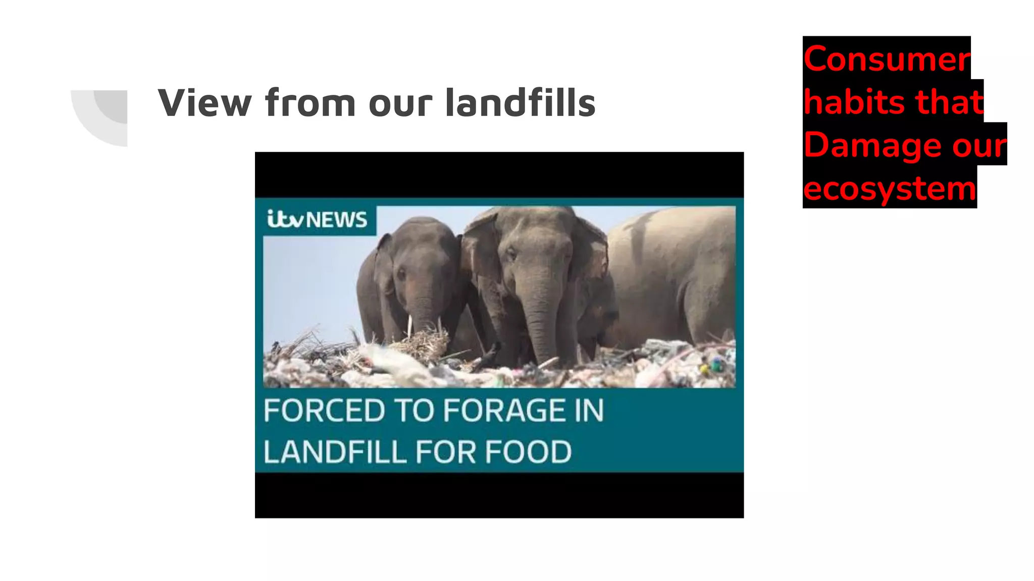 View from our landﬁlls
Consumer
habits that
Damage our
ecosystem
 