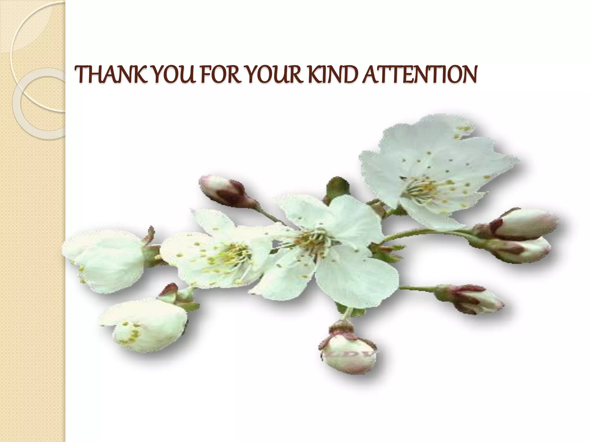 THANK YOU FOR YOUR KINDATTENTION
 