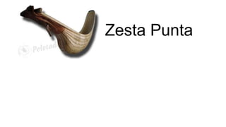 Zesta Punta
 