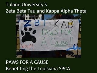 Tulane University’s
Zeta Beta Tau and Kappa Alpha Theta

PAWS FOR A CAUSE
Benefiting the Louisiana SPCA

 