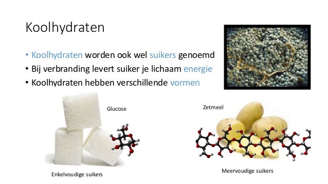 Zetmeel, speeksel en enzymen