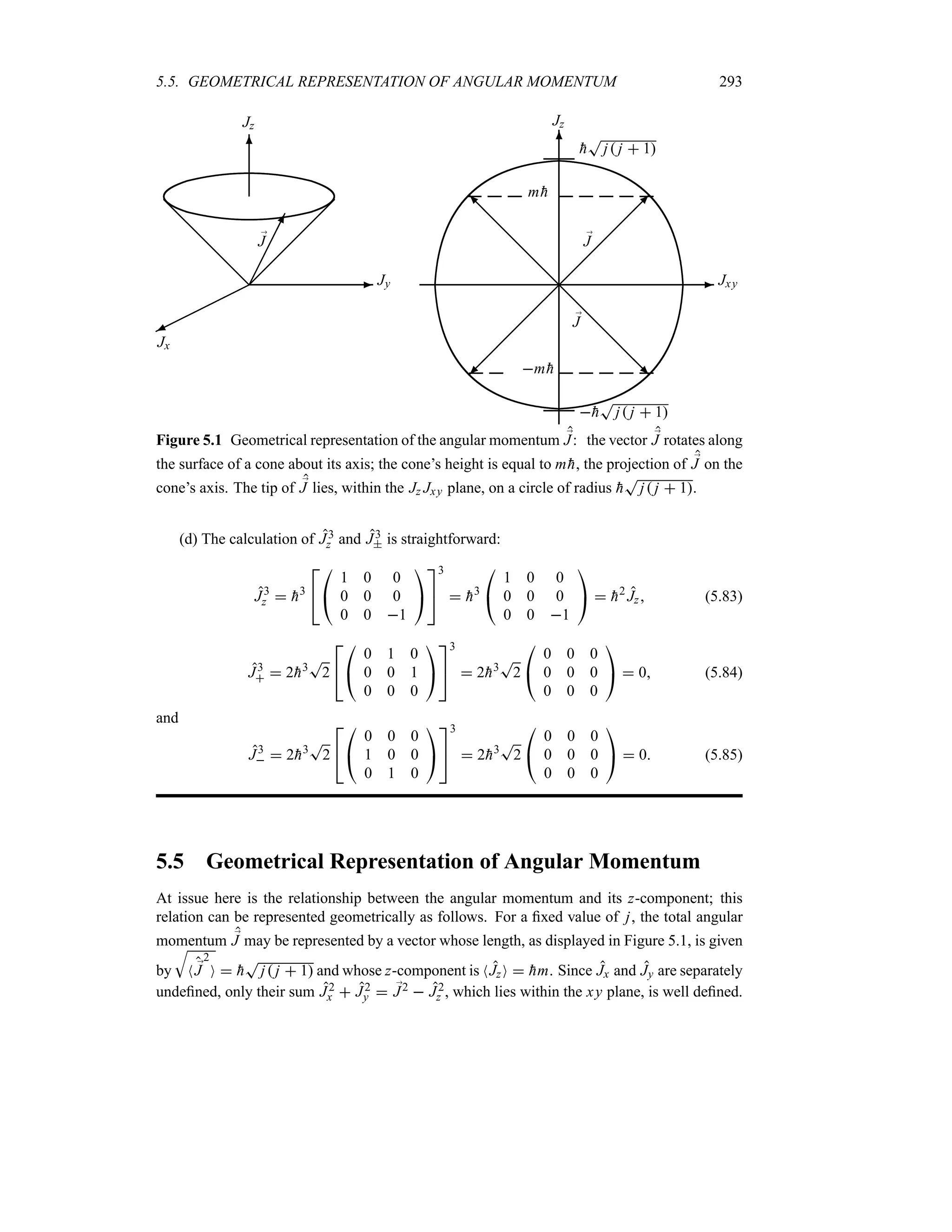 5.5. GEOMETRICAL REPRESENTATION OF ANGULAR MOMENTUM 293
-
©
©
©
©
©
©
¼
6
Jz
Jy
Jx
;
J
¡
¡
¡
¡
¡
¡
@
@
@
@
@
@
¢
¢
¢
¢
¢̧
-
6
¡
¡
¡
¡
¡
¡
µ
;
J
m 
h
@
@
@
@
@
@
R
;
J
m 
h
@
@
@
@
@
@
I
¡
¡
¡
¡
¡
¡
ª
Jz
Jxy

h
T
j j  1

h
T
j j  1
Figure 5.1 Geometrical representation of the angular momentum ;
J: the vector ;
J rotates along
the surface of a cone about its axis; the cone’s height is equal to m 
h, the projection of ;
J on the
cone’s axis. The tip of ;
J lies, within the Jz Jxy plane, on a circle of radius 
h
T
j j  1.
(d) The calculation of J3
z and J3
 is straightforward:
J3
z  
h3



#
1 0 0
0 0 0
0 0 1

$


3
 
h3

#
1 0 0
0 0 0
0 0 1

$  
h2
Jz (5.83)
J3
  2
h3
T
2



#
0 1 0
0 0 1
0 0 0

$


3
 2
h3
T
2

#
0 0 0
0 0 0
0 0 0

$  0 (5.84)
and
J3
  2
h3
T
2



#
0 0 0
1 0 0
0 1 0

$


3
 2
h3
T
2

#
0 0 0
0 0 0
0 0 0

$  0 (5.85)
5.5 Geometrical Representation of Angular Momentum
At issue here is the relationship between the angular momentum and its z-component; this
relation can be represented geometrically as follows. For a fixed value of j, the total angular
momentum ;
J may be represented by a vector whose length, as displayed in Figure 5.1, is given
by
T
N ;
J
2
O  
h
T
j j  1 and whose z-component is NJzO  
hm. Since Jx and Jy are separately
undefined, only their sum J2
x  J2
y  ;
J2  J2
z , which lies within the xy plane, is well defined.
 