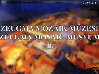 ZEUGMA MOZAİK MÜZESİ,ZEUGMA MOSAIC MUSEUM (II)