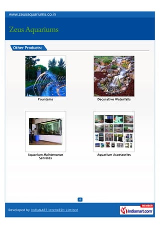 Other Products:




            Fountains         Decorative Waterfalls




       Aquarium Maintenance   Aquarium Accessories
              Services
 