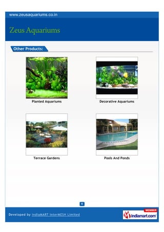 Other Products:




         Planted Aquariums   Decorative Aquariums




          Terrace Gardens      Pools And Ponds
 