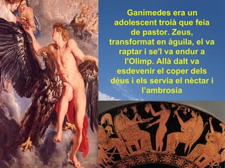 Ganimedes era un
  adolescent troià que feia
       de pastor. Zeus,
transformat en àguila, el va
   raptar i se'l va endur a
     l'Olimp. Allà dalt va
   esdevenir el coper dels
déus i els servia el nèctar i
          l’ambrosia
 