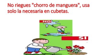 No riegues "chorro de manguera", usa 
solo la necesaria en cubetas. 
 