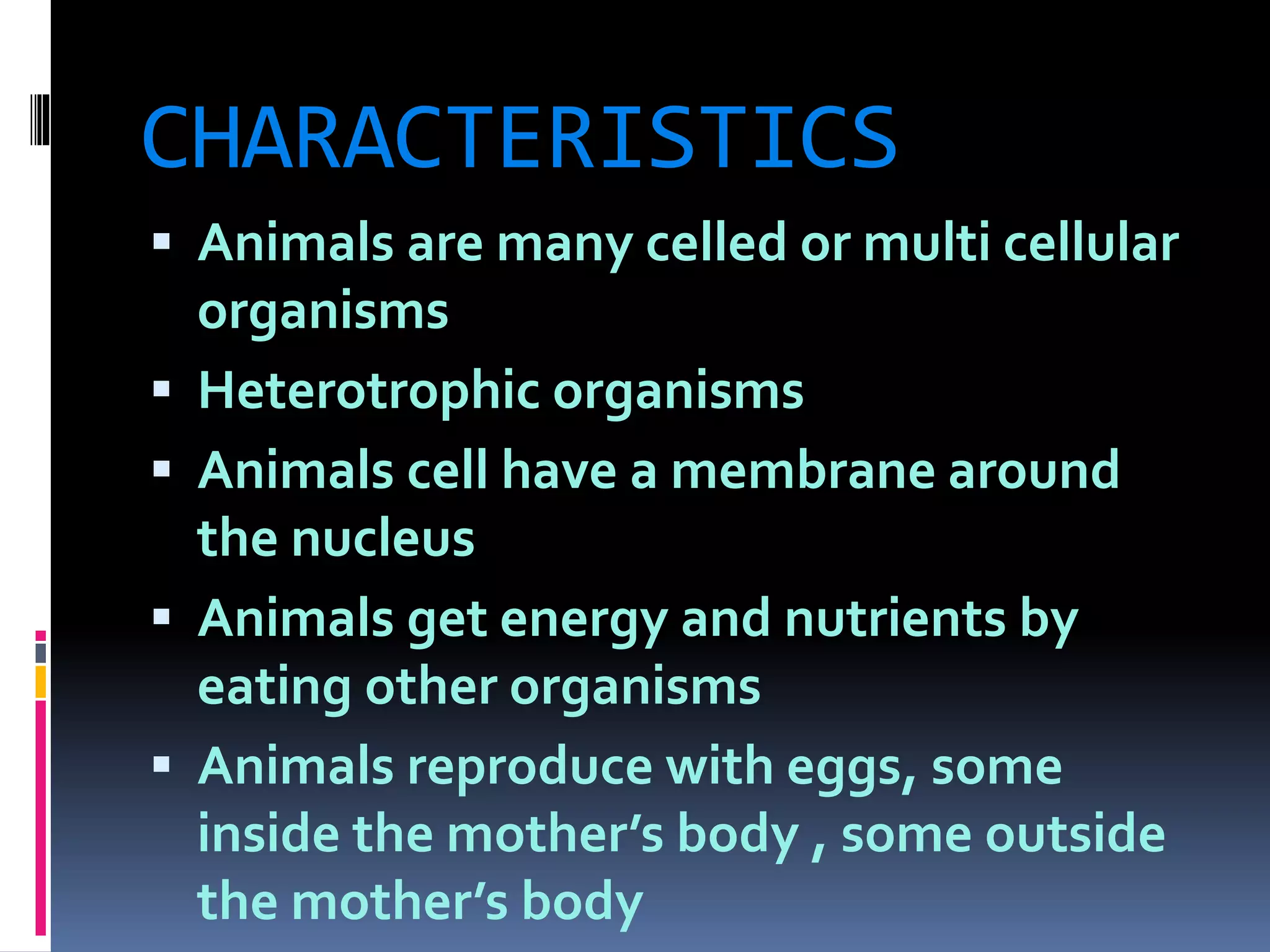 CHARACTERISTICS 
 Animals are many celled or multi cellular 
organisms 
 Heterotrophic organisms 
 Animals cell have a membrane around 
the nucleus 
 Animals get energy and nutrients by 
eating other organisms 
 Animals reproduce with eggs, some 
inside the mother’s body , some outside 
the mother’s body 
 