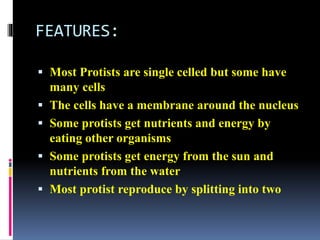 FEATURES: 
 Most Protists are single celled but some have 
many cells 
 The cells have a membrane around the nucleus 
 Some protists get nutrients and energy by 
eating other organisms 
 Some protists get energy from the sun and 
nutrients from the water 
 Most protist reproduce by splitting into two 
 