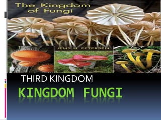 THIRD KINGDOM 
KINGDOM FUNGI 
 