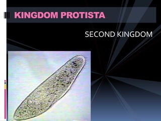 KINGDOM PROTISTA 
SECOND KINGDOM 
 