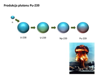 Produkcja plutonu Pu-239

n

U-238

U-239

Np-239

Pu-239

 
