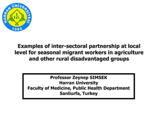 Examples of inter-sectoral partnership at local level for seasonal migrant workers in agriculture and other rural disadvantaged groups Professor Zeynep SIMSEK Harran University Faculty of Medicine, Public Health Department Sanliurfa, Turkey 
